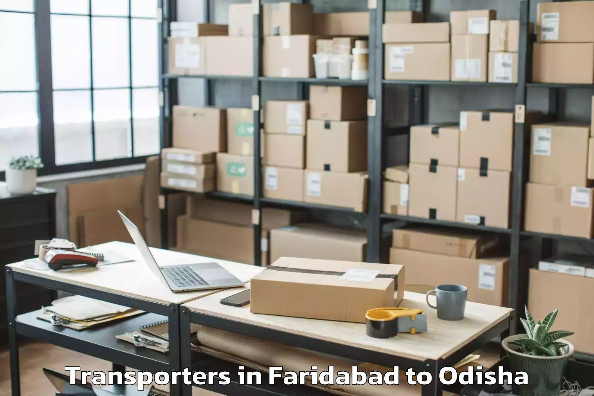 Book Faridabad to National Law University Odisha Transporters Online